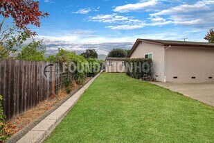 599 Tamarack Dr in San Rafael, CA - Building Photo