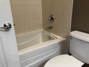 343 E 25th Pl in Chicago, IL - Building Photo - Building Photo