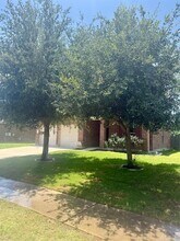 20224 Stanley Robin Ln in Pflugerville, TX - Building Photo - Building Photo