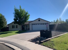 674 Polaris Ct in Fruita, CO - Building Photo