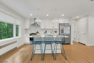 117 Sagamore Rd in Millburn, NJ - Building Photo - Building Photo