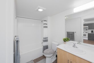 Nichols Court in Seattle, WA - Foto de edificio - Interior Photo
