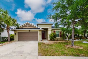 8811 Tropical Palm Dr in Tampa, FL - Building Photo