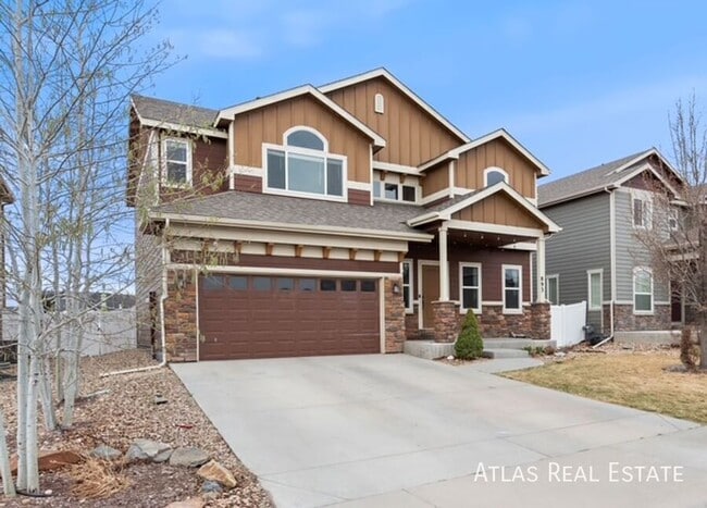 893 Shirttail Peak Ct in Windsor, CO - Building Photo - Building Photo