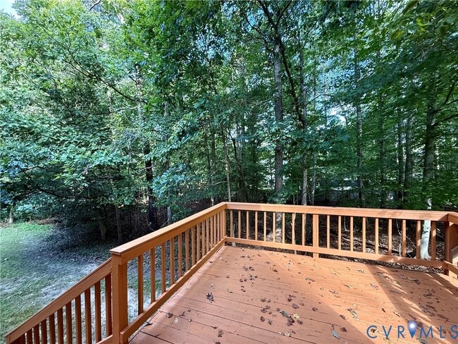 6920 Amstel Bluff Way in Chesterfield, VA - Building Photo - Building Photo