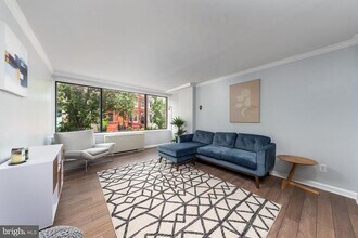 305 C St NE in Washington, DC - Building Photo - Building Photo