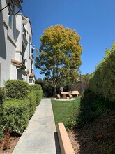 3144 Via Puerta in Carlsbad, CA - Building Photo - Building Photo