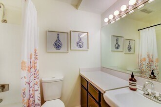 10829 Marine View Dr SW in Seattle, WA - Building Photo - Building Photo