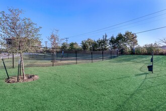 Campus Apartments in Fort Worth, TX - Foto de edificio - Building Photo