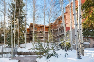 360 Wood Rd in Aspen, CO - Building Photo - Building Photo