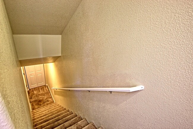 property at 255 Dawson Jacob Ln.