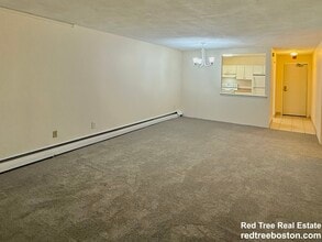 245 Main St in Watertown, MA - Foto de edificio - Building Photo