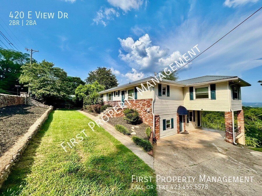 420 E View Dr in Chattanooga, TN - Building Photo