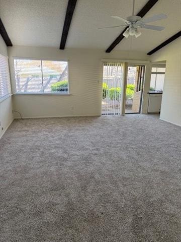 3517 Cotillion Dr in Plano, TX - Building Photo - Building Photo