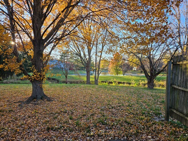 2117 Ivy Ct in Champaign, IL - Building Photo - Building Photo