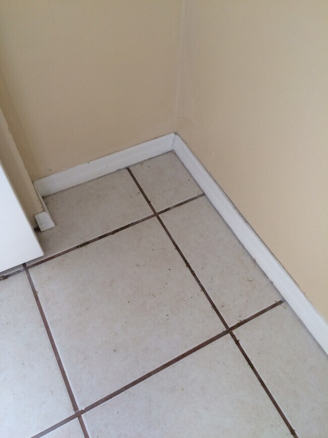 301 Miami Ln in Kissimmee, FL - Building Photo - Building Photo