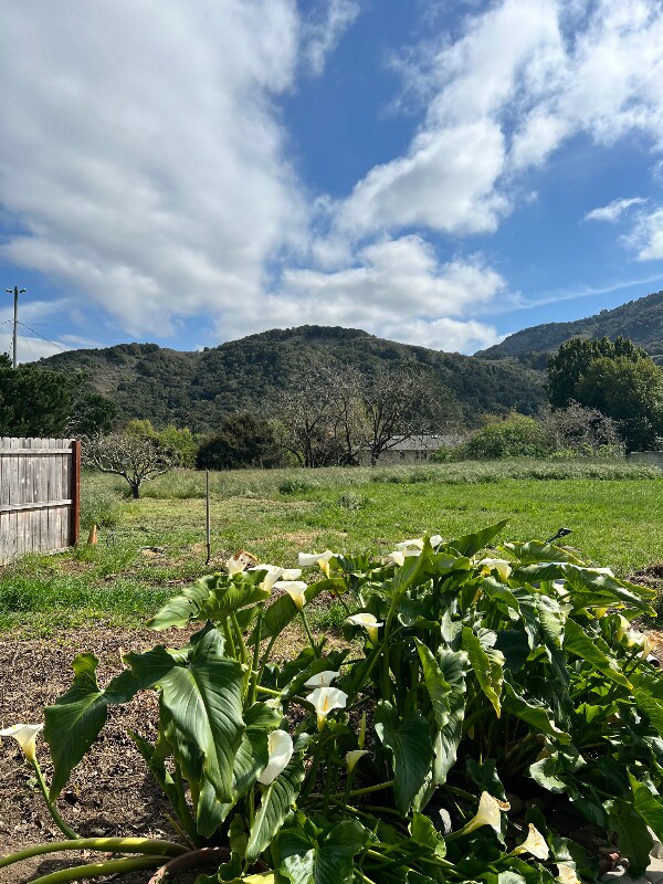 8360 Vía Madalena in Carmel By The Sea, CA - Building Photo - Building Photo