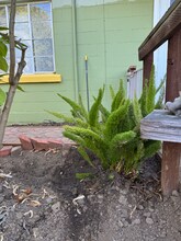 398 Alameda de las Pulgas in Redwood City, CA - Building Photo - Building Photo