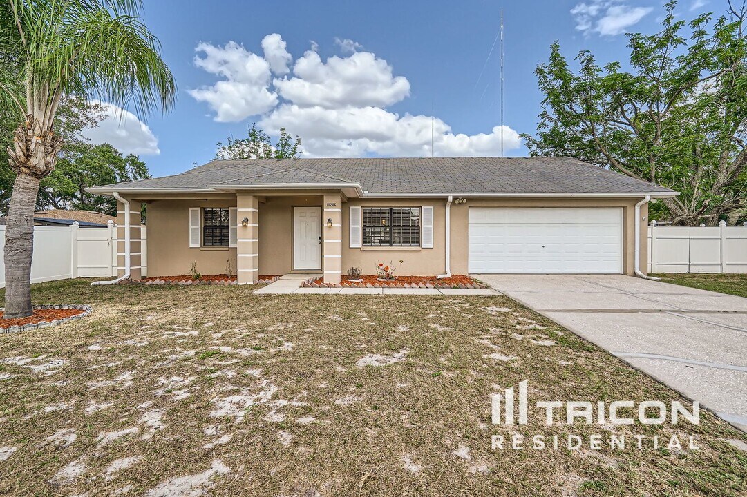 10206 Deepbrook Dr in Riverview, FL - Building Photo