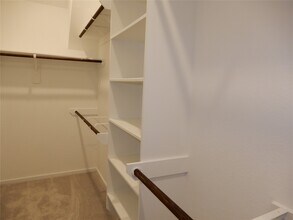 22636 Hackberry Leaf Dr in New Caney, TX - Building Photo - Building Photo