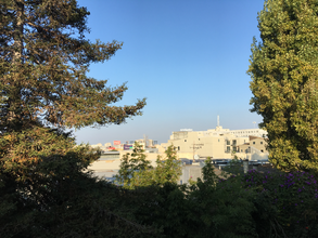 7 Hallam St in San Francisco, CA - Building Photo - Building Photo