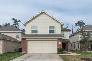 10203 Piave Drive in Houston, TX - Building Photo