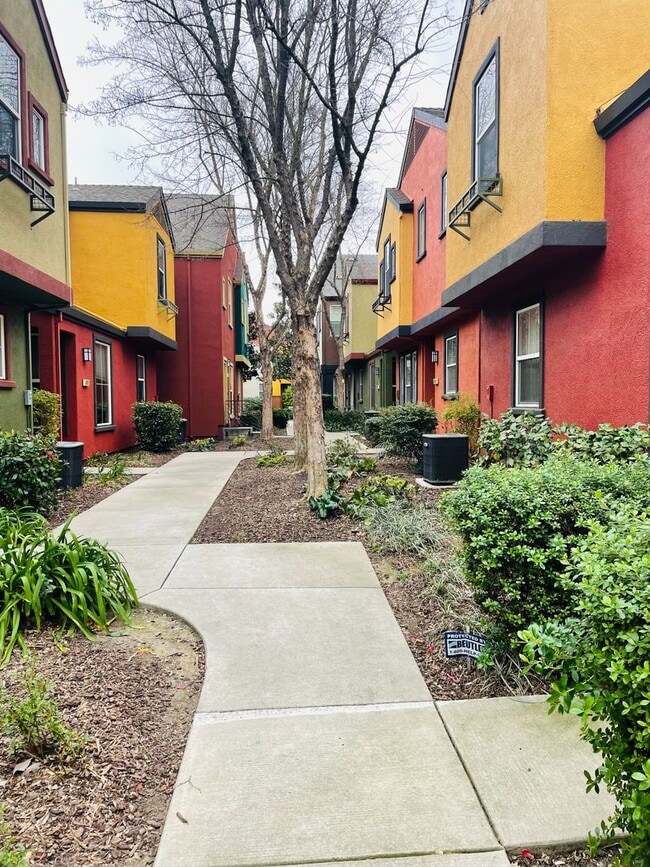 809 Sinter Ln in West Sacramento, CA - Building Photo - Building Photo