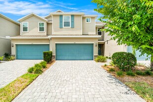 1105 Lady Gouldian Ct in Tampa, FL - Building Photo