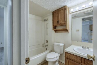 506 Willow St in Bertram, TX - Building Photo - Building Photo