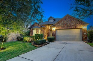 34 W Lasting Spring Cir