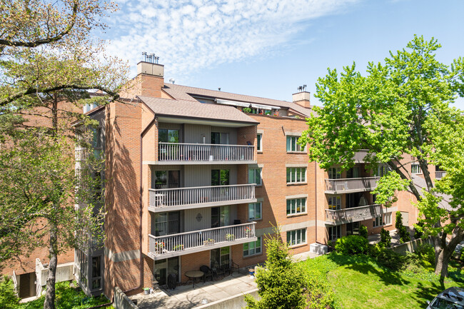 Park Lane Condominiums in Park Ridge, IL - Building Photo - Building Photo