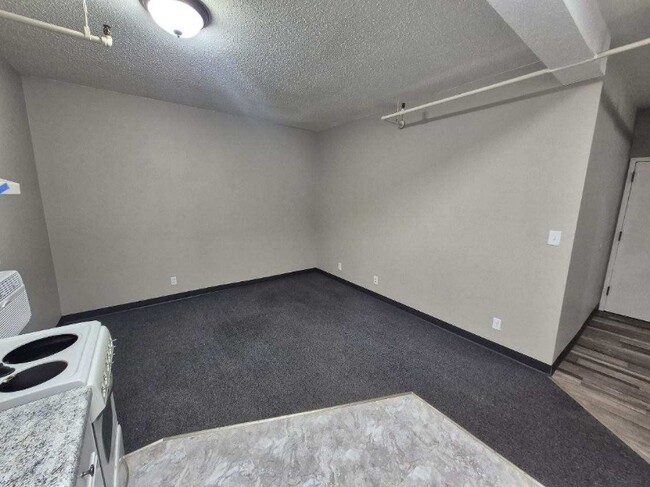 301 N Riverfront Dr in Mankato, MN - Building Photo - Building Photo