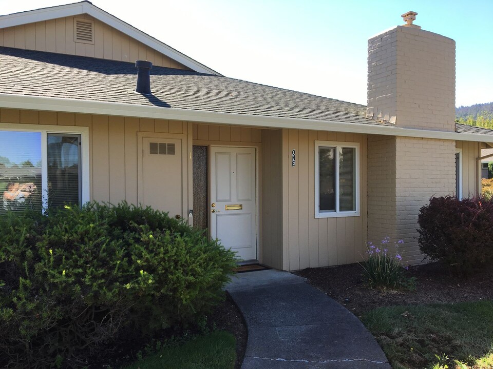 1 Meadowgreen Ct in Santa Rosa, CA - Building Photo