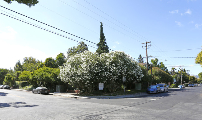 Casa Carolina Apartments in Palo Alto, CA - Building Photo - Building Photo