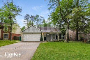 123 S Village Knoll Cir in The Woodlands, TX - Building Photo