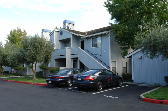 Claremont Meadows in Fremont, CA - Building Photo - Building Photo