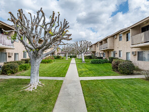 Colima Terrace in Rowland Heights, CA - Building Photo - Building Photo