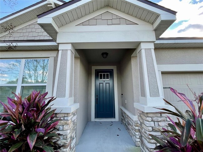 13205 Orca Sound Dr in Riverview, FL - Building Photo - Building Photo