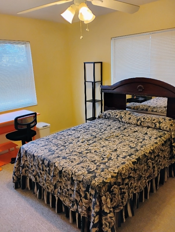 45 Brewster Ln in Palm Coast, FL - Building Photo - Building Photo