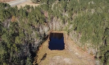 321 Mae Ln in Baxley, GA - Building Photo - Building Photo