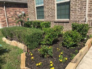 620 Calliopsis St in Little Elm, TX - Building Photo - Building Photo