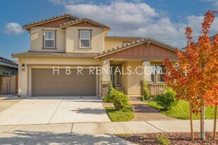 1038 Osprey Dr in Lathrop, CA - Building Photo