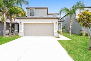 4112 Cat Mint St in Tampa, FL - Building Photo