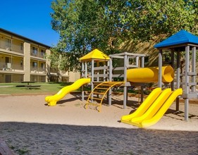 Sienna Place in Colorado Springs, CO - Foto de edificio - Building Photo