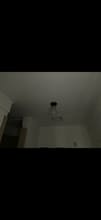904 Lucas in Pharr, TX - Building Photo - Building Photo