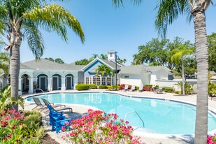 2211 Grand Isle Apartments in Brandon, FL - Building Photo