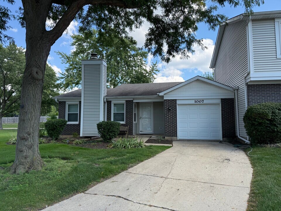 1007 Bayshore Dr in Schaumburg, IL - Building Photo