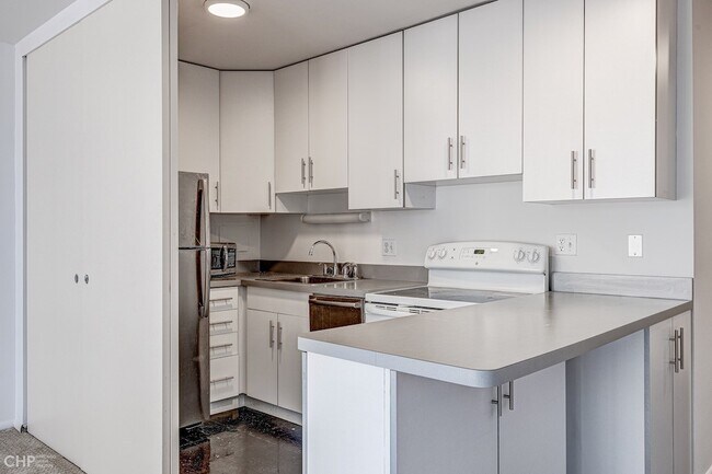 2400 N Lakeview Ave in Chicago, IL - Building Photo - Building Photo