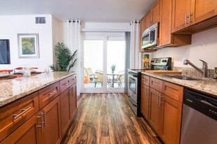 Innovo Living On Waters in Tampa, FL - Building Photo