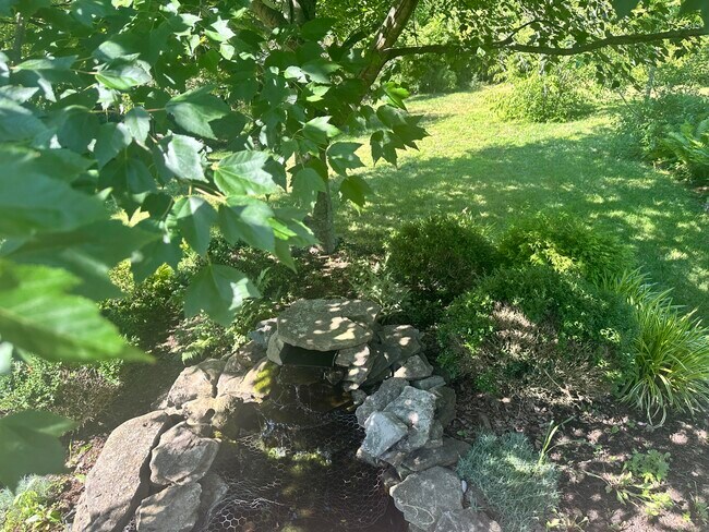 344 Harvard Dr in Lexington, KY - Building Photo - Building Photo